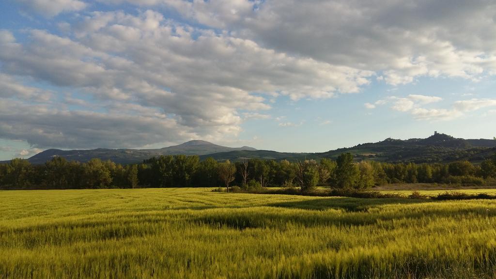 Alla Porta Di Sopra Castiglione dʼOrcia Exterior foto