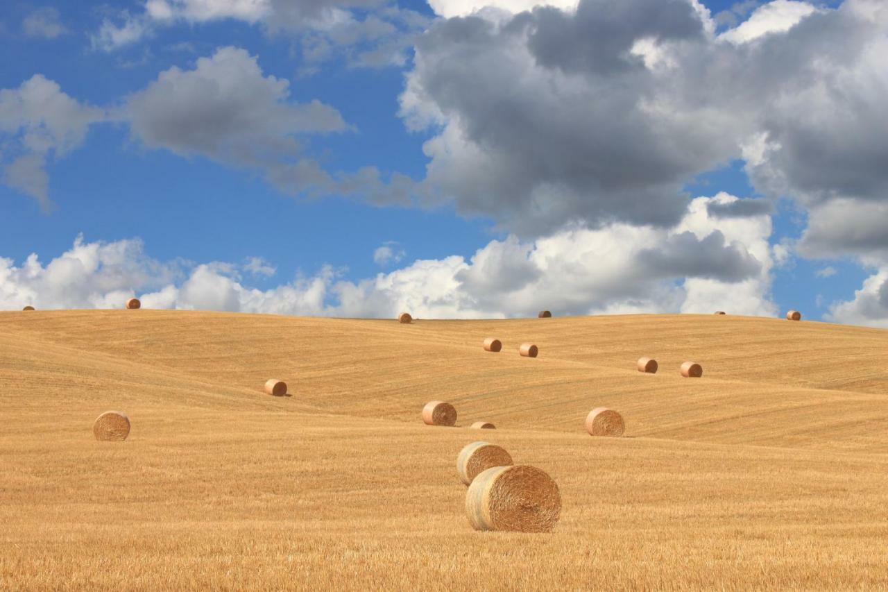 Alla Porta Di Sopra Castiglione dʼOrcia Exterior foto