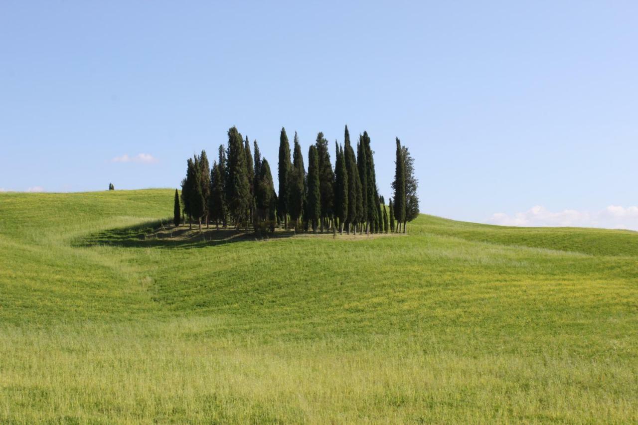Alla Porta Di Sopra Castiglione dʼOrcia Exterior foto